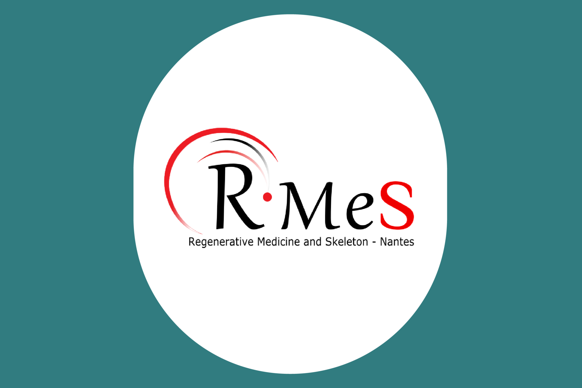 Regenerative Medicine and Skeleton (RMeS) - OSCAR